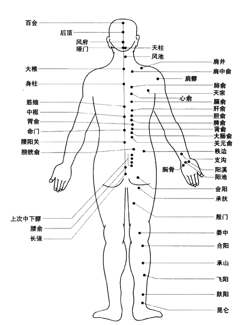 48365_9l50_3465.png